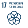 sdgs 17